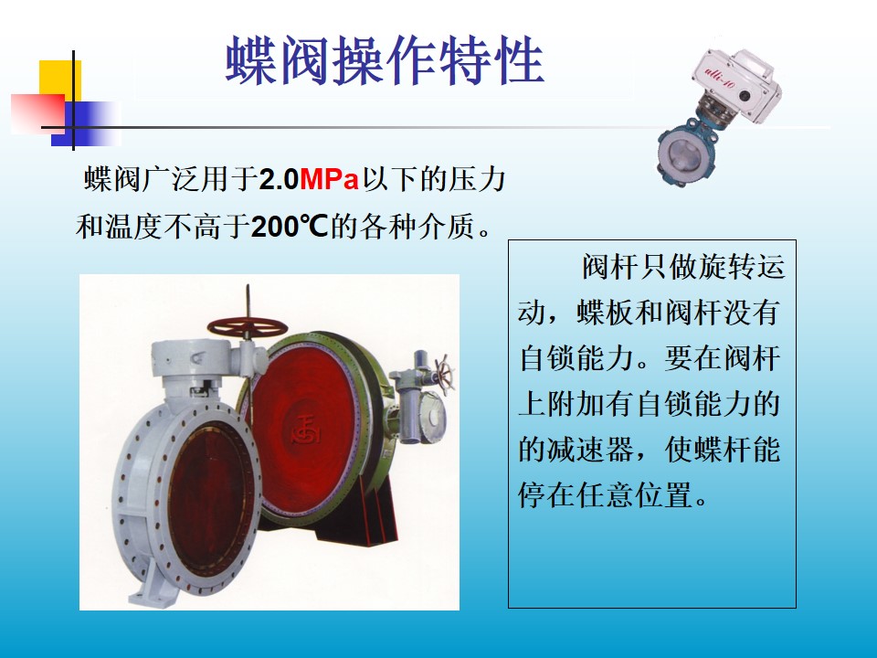 ���y����������