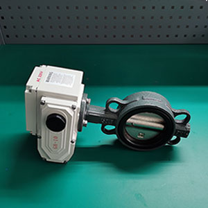 D971X-16C-DN100 늄�(d��ng)ܛ�ܷ���y