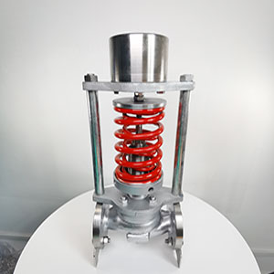 ZZYP-16P-DN32 ���P�����ʽ�����{(di��o)��(ji��)�y