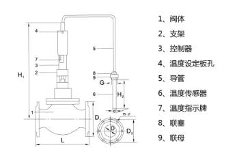 �ضȿ����y